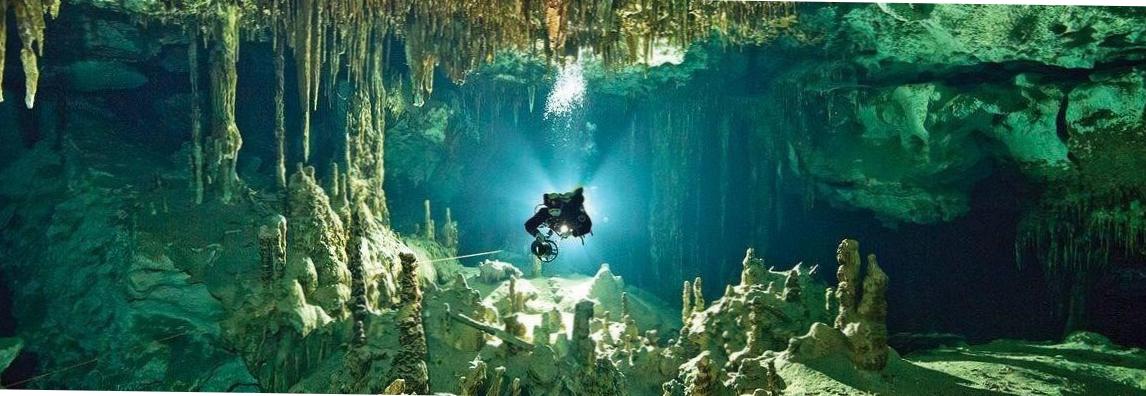 Озорной подводный мир канкуна Юкатан