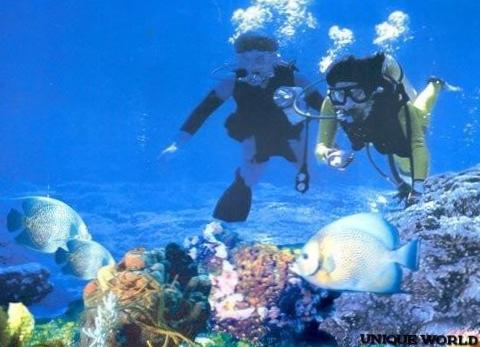  Подводная фотография на Кубе и в Турции: запечатлейте свои дайвинг-приключения! 