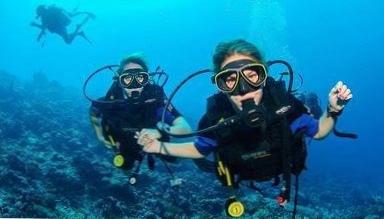  Тур дайвинг обучение: Фантастический мир подводного плавания! 