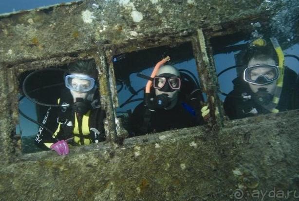  Туры на дайвинг в Кубе: уникальные возможности для любителей подводного мира! 