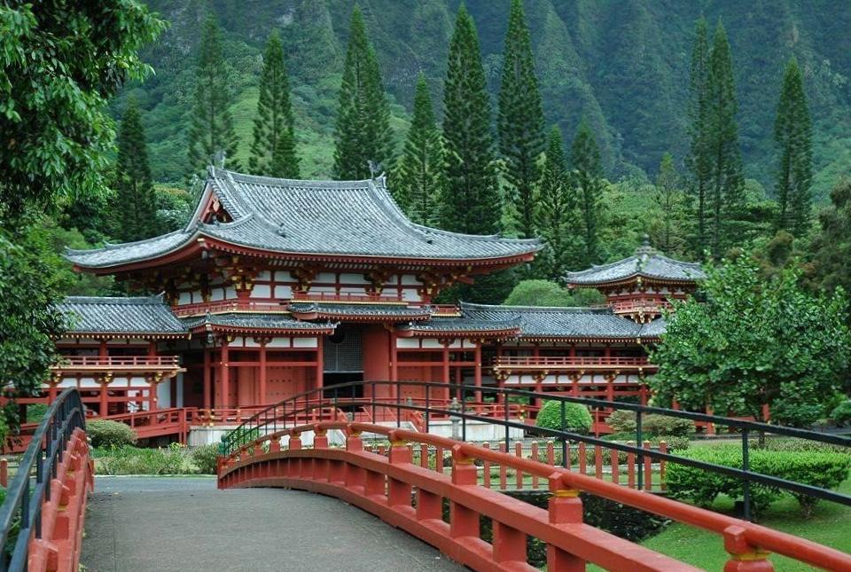  Увлекательные сафари на туристических маршрутах Японии! Представляем фотографии самых ярких моментов путешествия. 